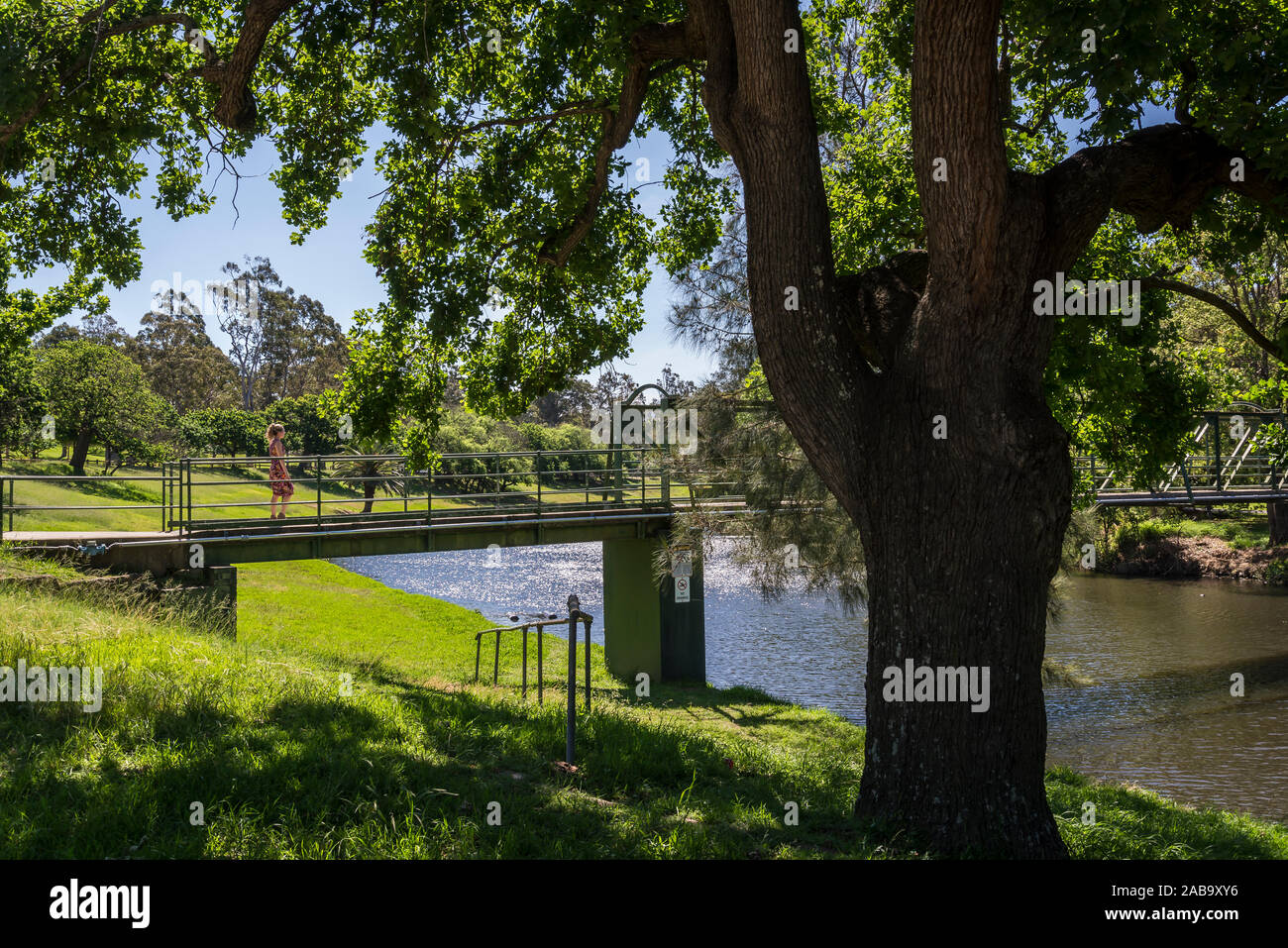 Ponte pedonale che attraversa il fiume Parramatta in Parramatta Park, nel sobborgo occidentale di Parramatta, Sydney, Australia Foto Stock