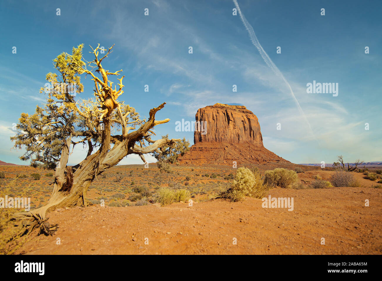 Elephant Butte rock formazione alla Monument Valley nello Utah, Stati Uniti d'America Foto Stock