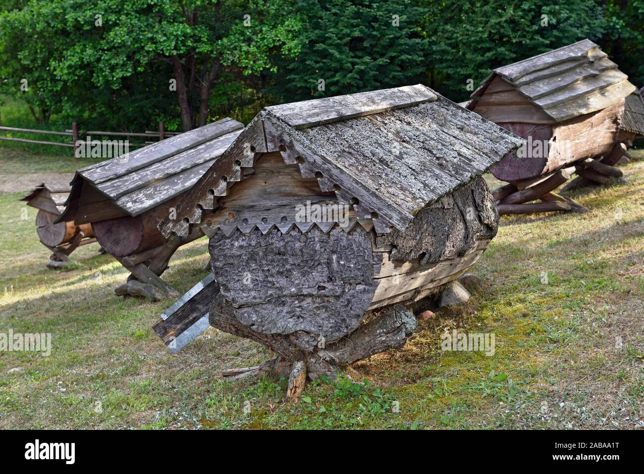 Antiche arnie nel Museo di apicoltura, Stripeikiai, Aukstaitija National Park, la Lituania, l'Europa. Foto Stock