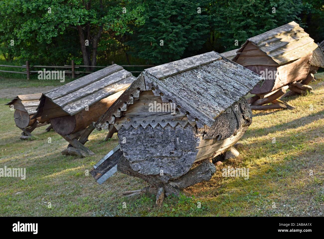 Antiche arnie nel Museo di apicoltura, Stripeikiai, Aukstaitija National Park, la Lituania, l'Europa. Foto Stock