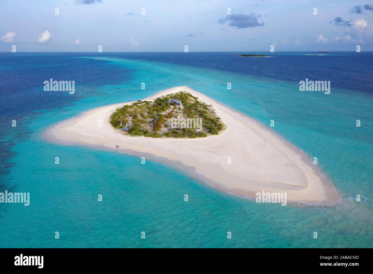 Vista aerea, isola disabitata per escursioni, isole Maldive, escursione isola con ampia spiaggia di sabbia, Maldive Foto Stock