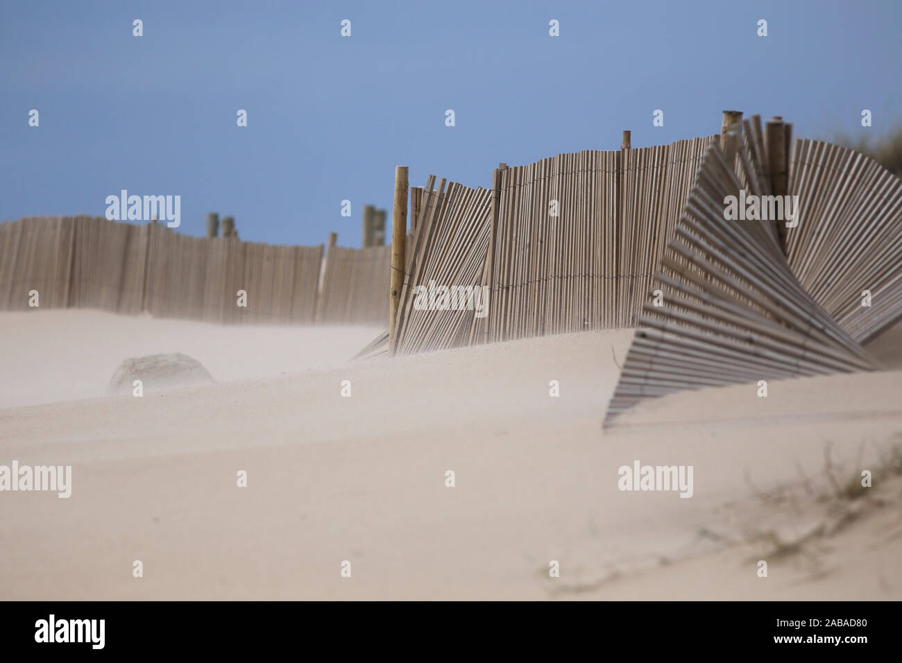 A nord della costa portoghese dune di sabbia con le recinzioni in una giornata di vento. DOF poco profondo. Foto Stock
