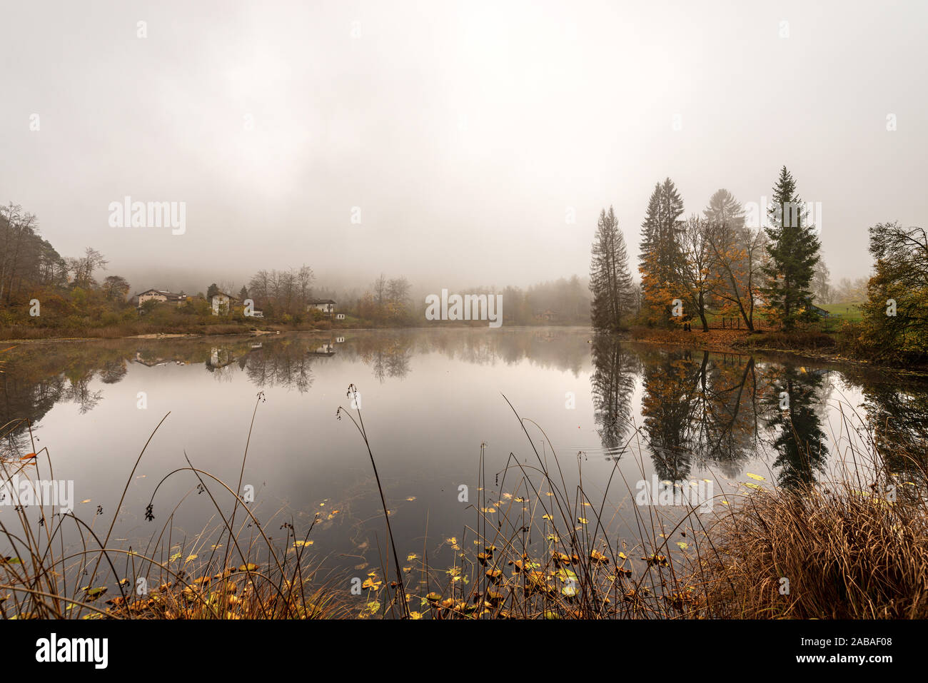 Il lago di Cei, piccolo lago nelle Alpi italiane con la nebbia in autunno. Villa Lagarina, provincia di Trento, Trentino Alto Adige, Italia, Europa Foto Stock