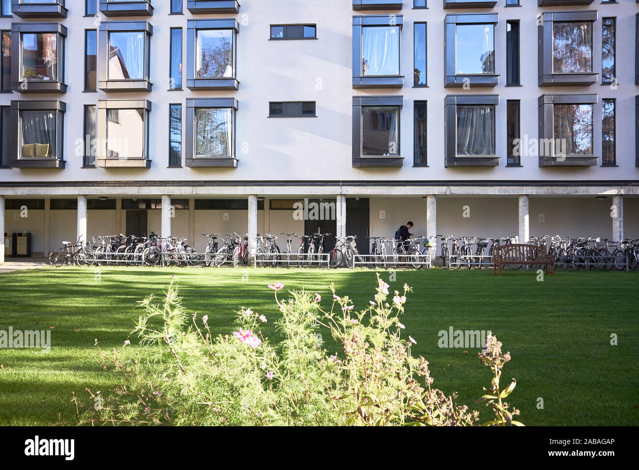 Sistemazioni moderne di University College, Università di Oxford, Inghilterra, sulla logica Lane. Foto Stock