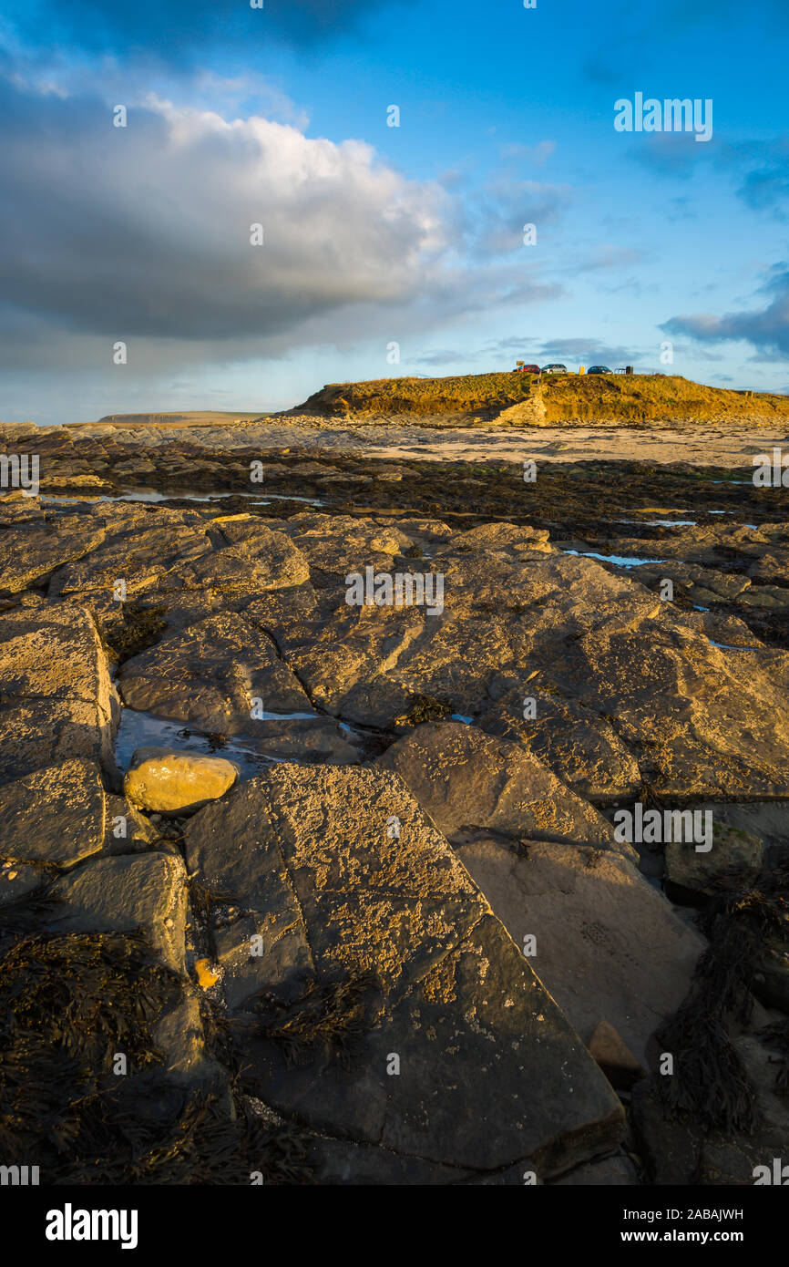 Il mare e le coste, Brough di Birsay, isole Orcadi, REGNO UNITO Foto Stock