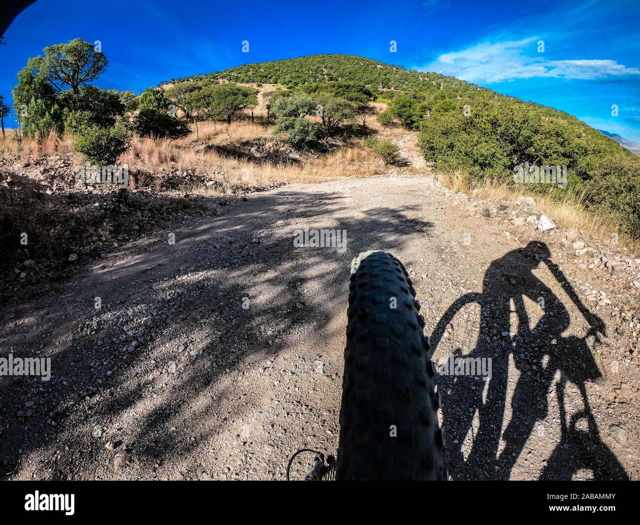 Percorso per mountain bike paesaggio. Ruota posteriore di bicicletta pedalando © (© Foto: LuisGutierrez / NortePhoto.com) Paisaje de ruta de Ciclismo de Montaña. Foto Stock