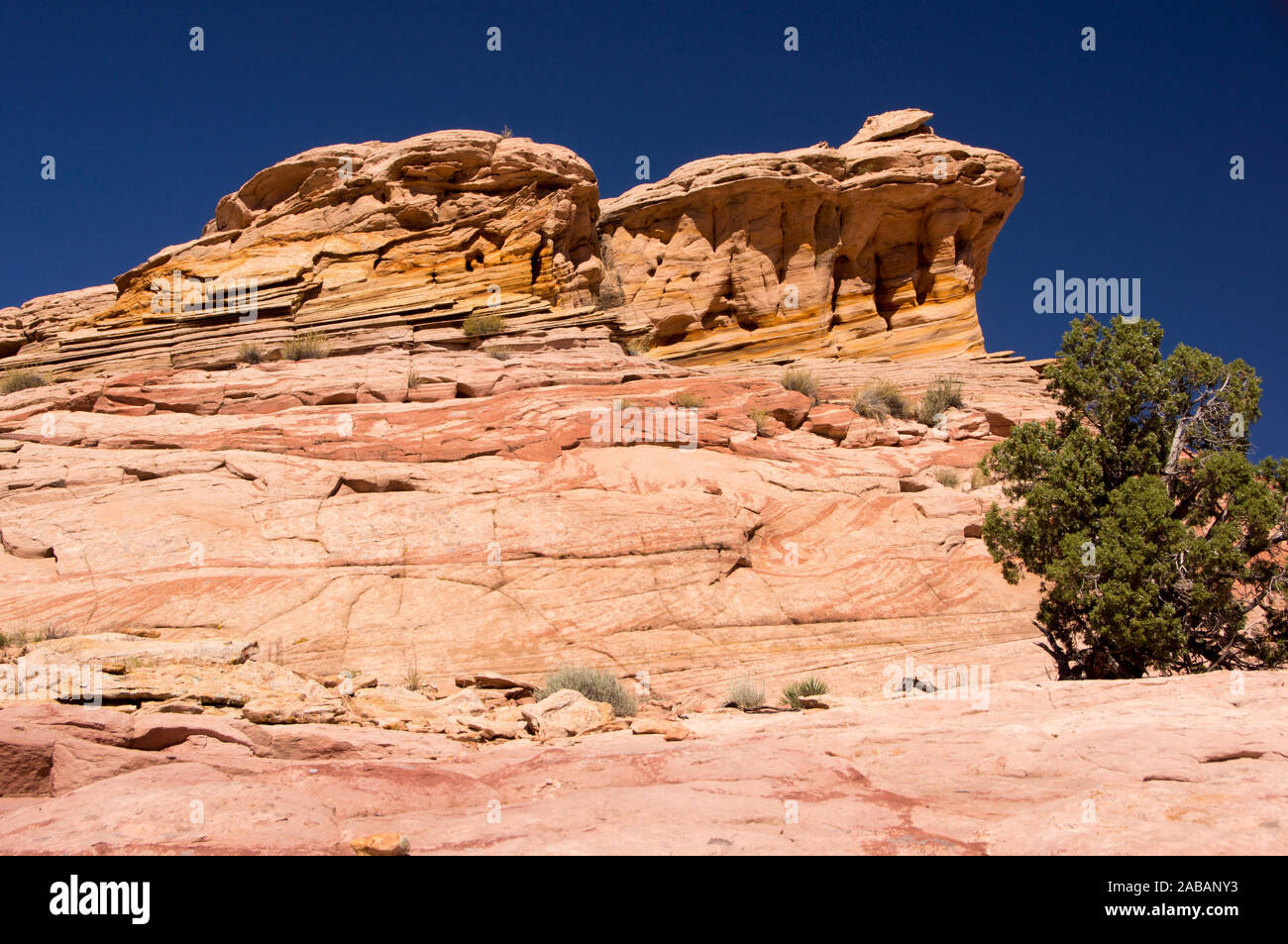 Ah-Shi-Sle-Pah Wilderness Area Studio, Nuovo Messico, STATI UNITI D'AMERICA Foto Stock