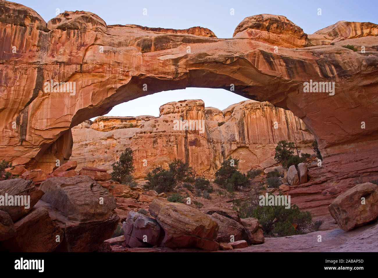 Der Capitol-Reef-Nationalpark in Utah liegt in einem capitolo Gebiet in der Nähe des Fremont River. Foto Stock