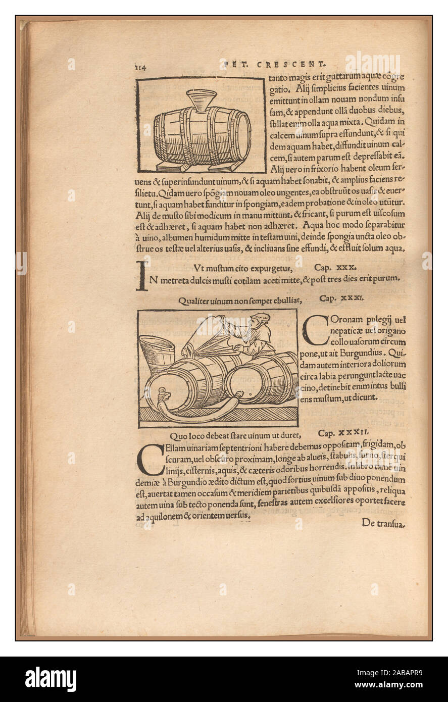 La viticoltura Vintage vino storico della produzione di gestione 1500's testo latino e illustrazioni sul vino inizio pagina produzione di Pietro de Crescenzi un scrittore italiano per l'orticoltura Foto Stock