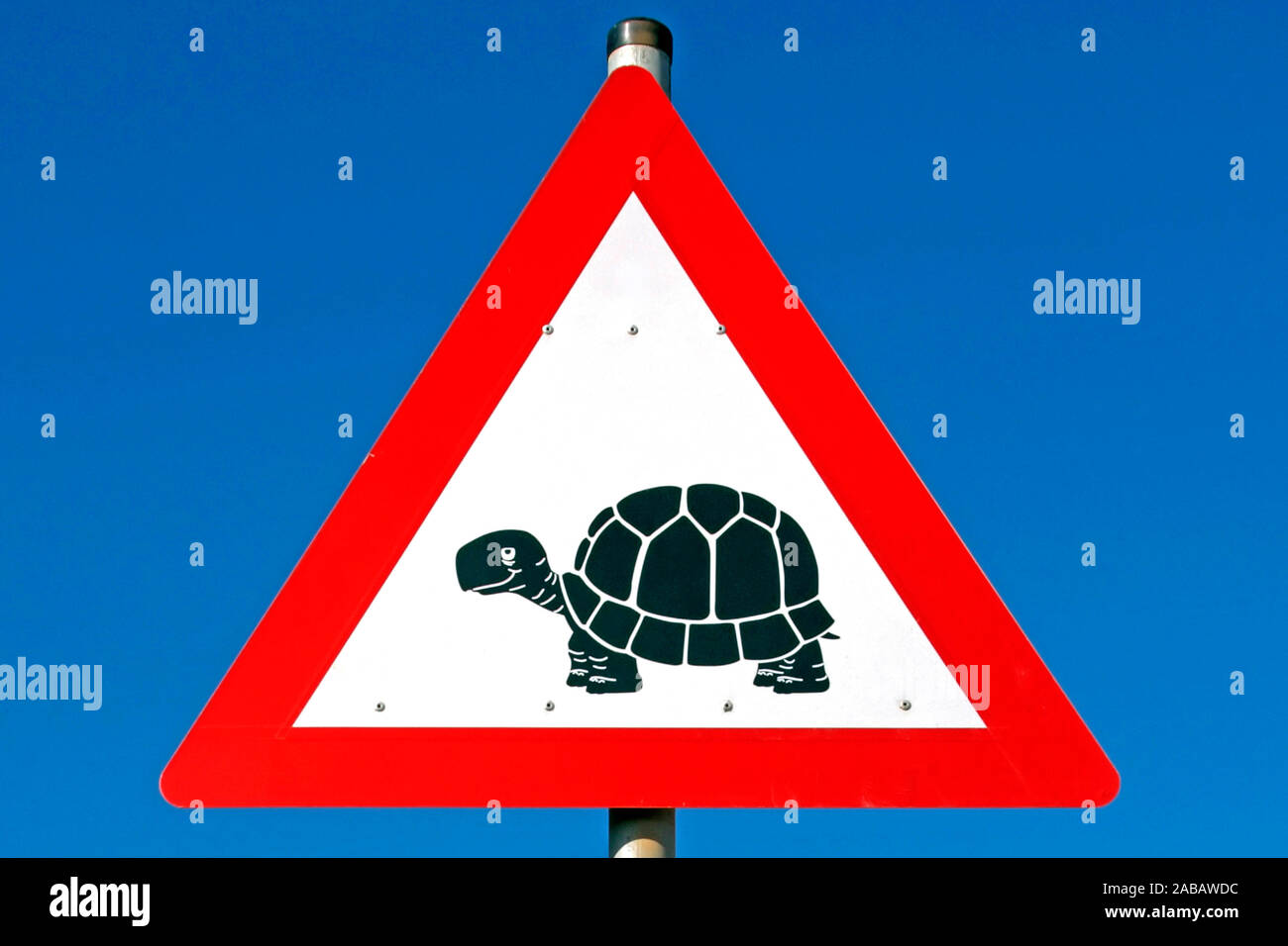 Verkehrsschilder - Achtung Schildkröten - Afrika Foto Stock