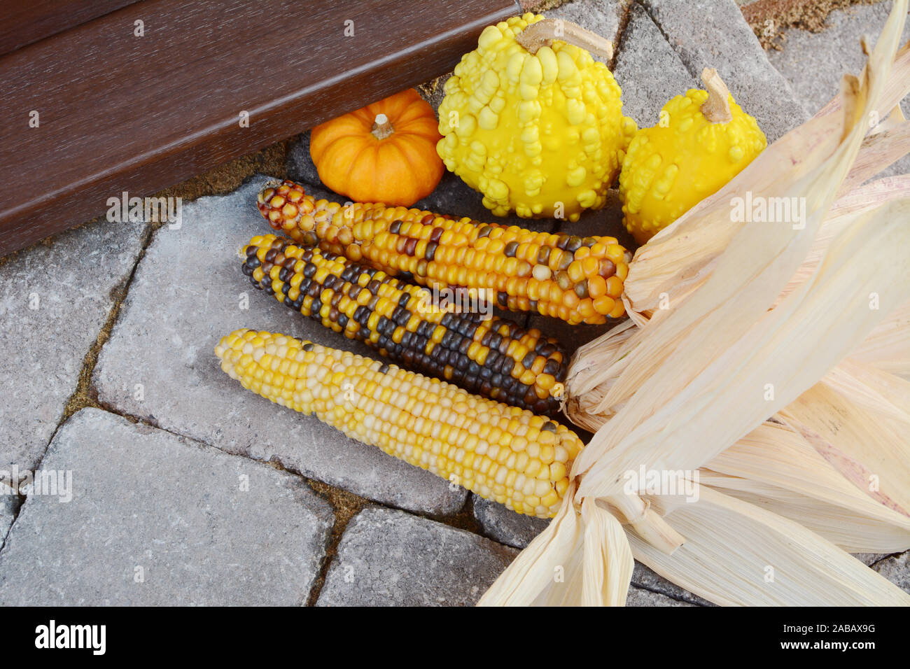 Tre le pannocchie di mais ornamentali e di giallo e arancione zucche decorative su un fronte a due passi da ringraziamento Foto Stock