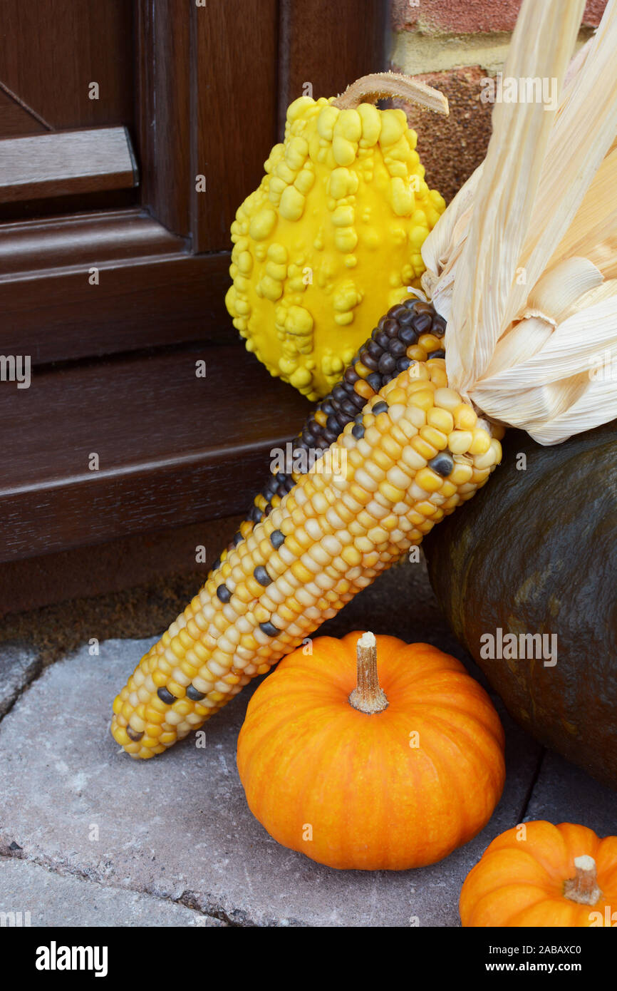 Il granturco dolce ornamentali e zucche come ringraziamento decorazione su una porta Foto Stock