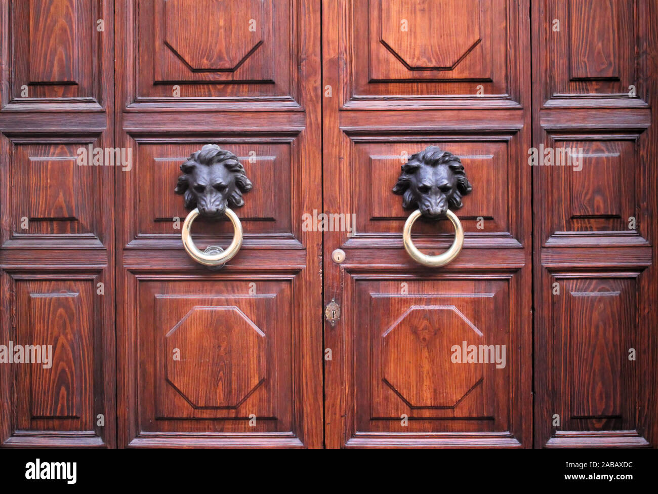 Vecchie porte di legno con anelli Foto Stock