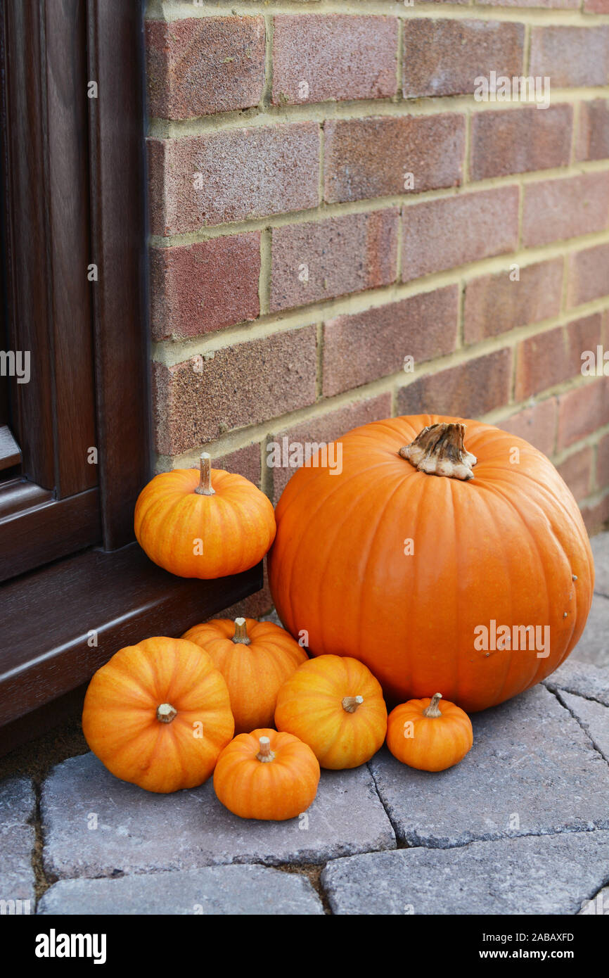 Raccolta di mini zucche e una grande zucca arancione su una porta anteriore fase come una decorazione di ringraziamento Foto Stock