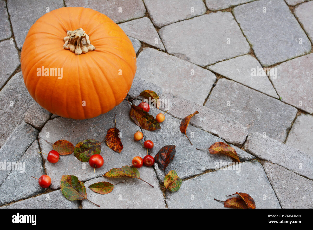 Grande zucca circondato da granchio rosso mele e caduta foglie autunnali come decorazione su un gradino di pietra con spazio di copia Foto Stock