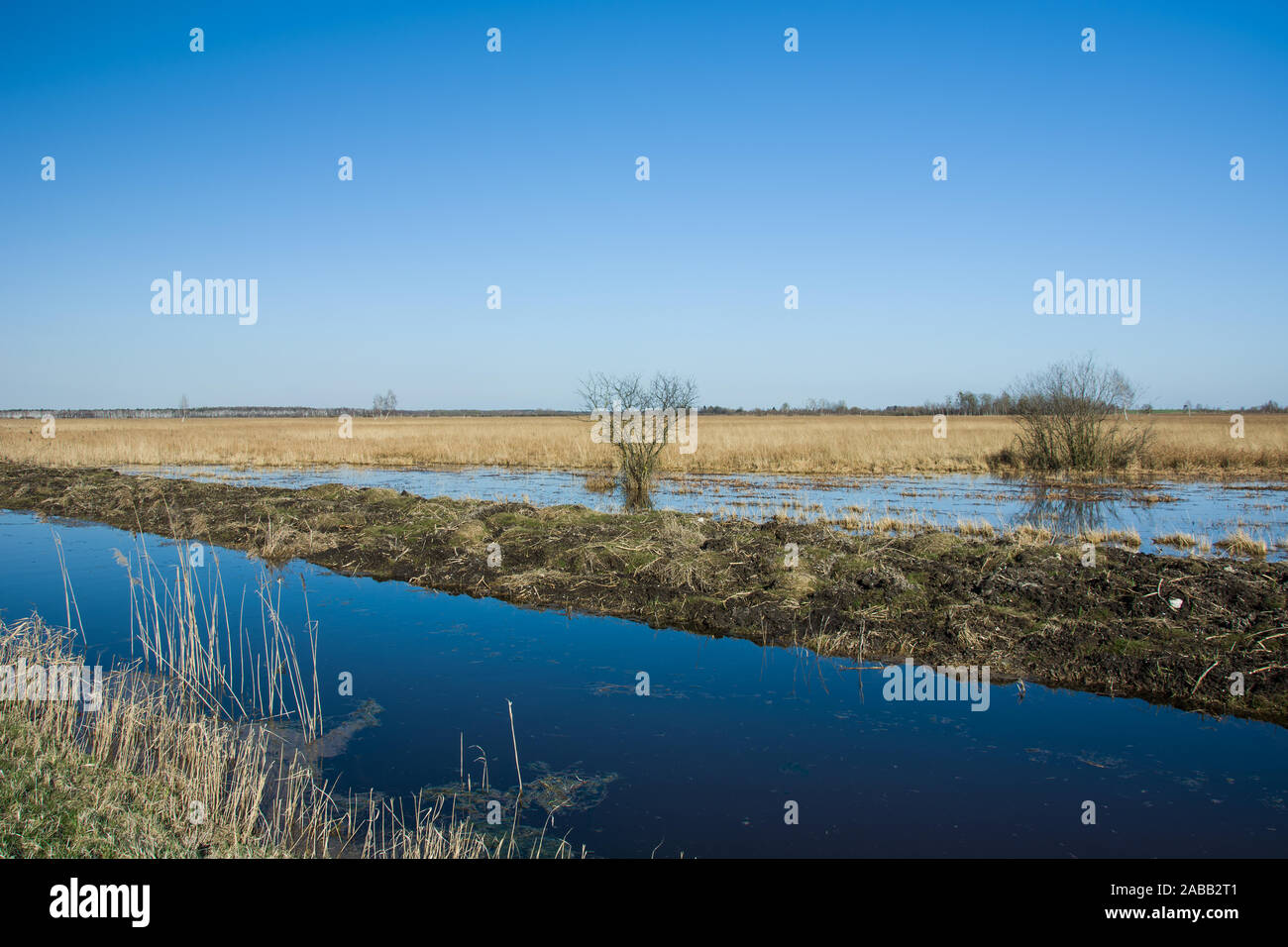 Canale di acqua e pozzanghere sul prato, orizzonte e cielo blu Foto Stock