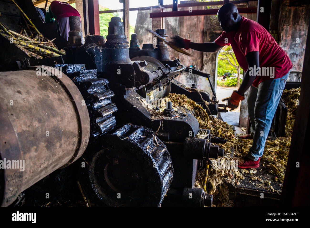 Antoine Rivers Rum Distillery, San Patrizio, Grenada. Durante il funzionamento, singoli pezzi di canna da zucchero vengono inviati attraverso la pressa una seconda volta. È difficile credere che questa macchina funzionasse già in modo affidabile ai tempi di Goethe Foto Stock