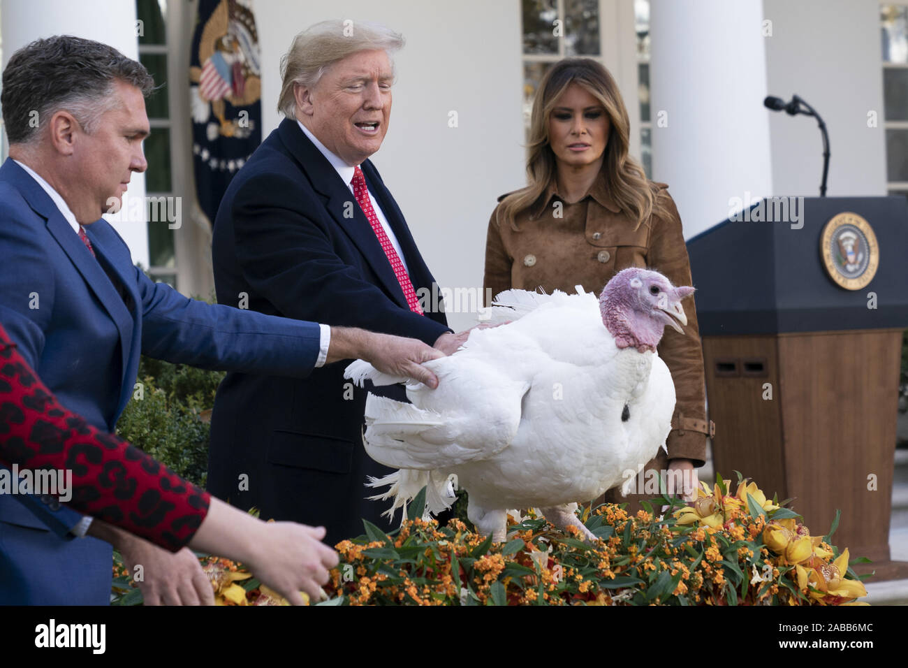 Washington, Stati Uniti. 26 Nov, 2019. Presidente Donald Trump con la prima signora Melania Trump perdona il burro il Nazionale del Ringraziamento, la Turchia come la Turchia agricoltore Wellie Jackson varia l'uccello, durante l'annuale cerimonia di ringraziamento alla Casa Bianca di Washington, DC Martedì, Novembre 26, 2019. Presidente Trump anche graziato un supplente turchia nomi pane. A seguito dell'evento odierno, entrambi i tacchini trascorrere il resto della loro vita a 'Gobblers resto' sul campus della Virginia Tech. Foto di Chris Kleponis/UPI Credito: UPI/Alamy Live News Foto Stock