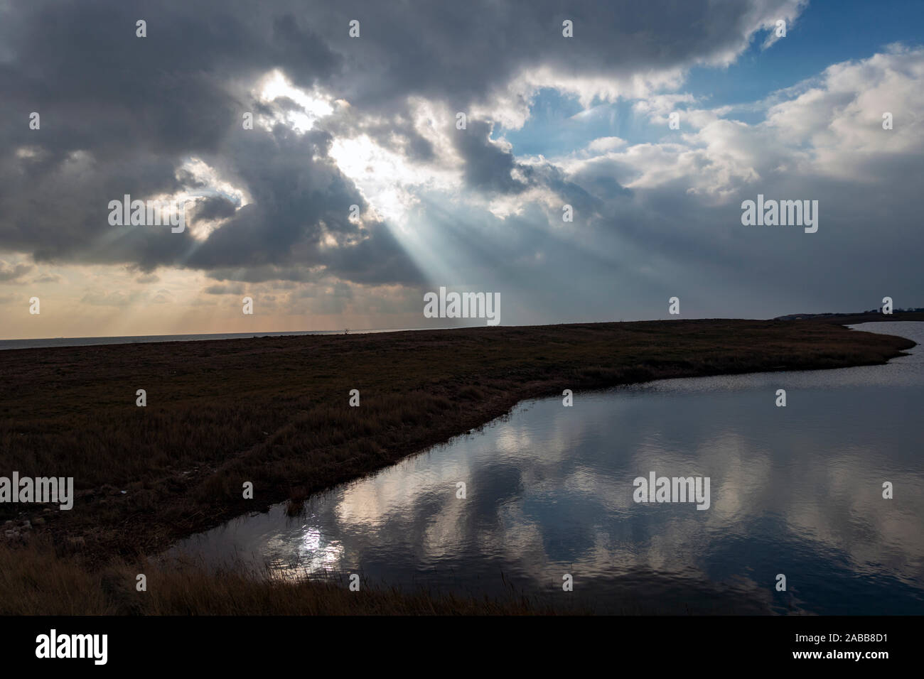 Alberi di luce solare anche se nuvole sulla costa del Mare del Nord, Bawdsey, Suffolk, Regno Unito. Foto Stock