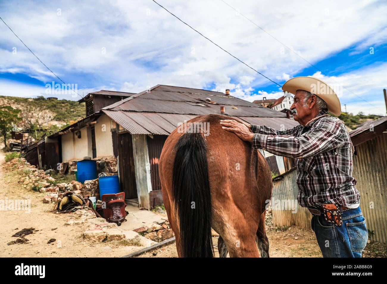 Un vecchio cowboy di nome Ruben Arviuzu Reyes prepara il suo cavallo posizionando la sella in Pilares villaggio di Nacozari. Ruben si prende cura delle vecchie costruzioni della città fantasma che è anche una città turistica o abbandonato la città mineraria. Pilares, è una città nel comune di Nacozari de García, Sonora, Messico, nella zona superiore della Sierra Madre Occidental. Dal 1960 è noto come una città fantasma a causa della sua spopolamento nel 1920s, a causa della chiusura e di eliminazione delle società minerarie che sono state qui e che hanno dato luogo a. © © (© Foto: LuisGutierrez NortePhoto.com) onu viejo vaquero d Foto Stock