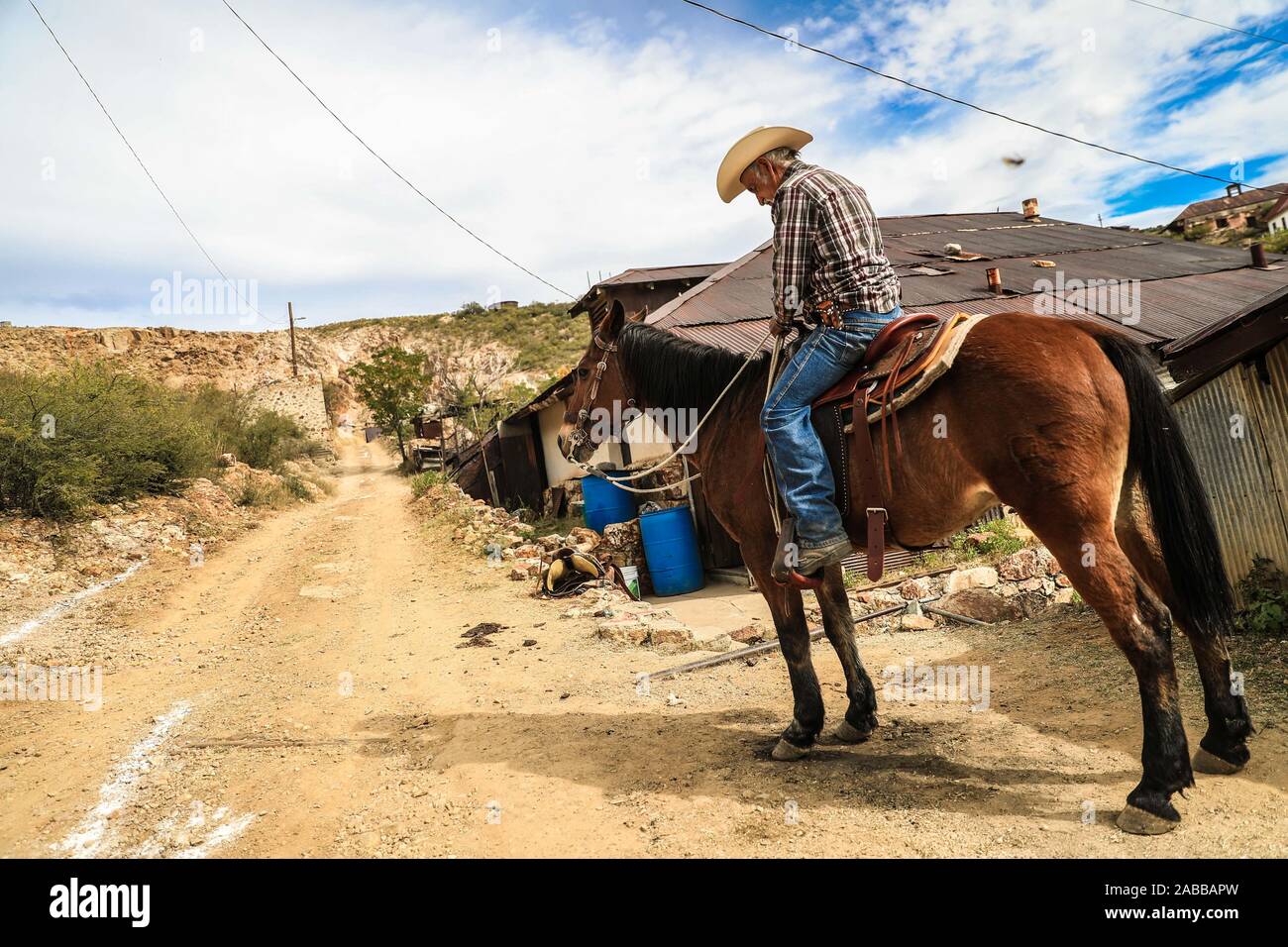 Un vecchio cowboy di nome Ruben Arviuzu Reyes prepara il suo cavallo posizionando la sella in Pilares villaggio di Nacozari. Ruben si prende cura delle vecchie costruzioni della città fantasma che è anche una città turistica o abbandonato la città mineraria. Pilares, è una città nel comune di Nacozari de García, Sonora, Messico, nella zona superiore della Sierra Madre Occidental. Dal 1960 è noto come una città fantasma a causa della sua spopolamento nel 1920s, a causa della chiusura e di eliminazione delle società minerarie che sono state qui e che hanno dato luogo a. © © (© Foto: LuisGutierrez NortePhoto.com) onu viejo vaquero d Foto Stock