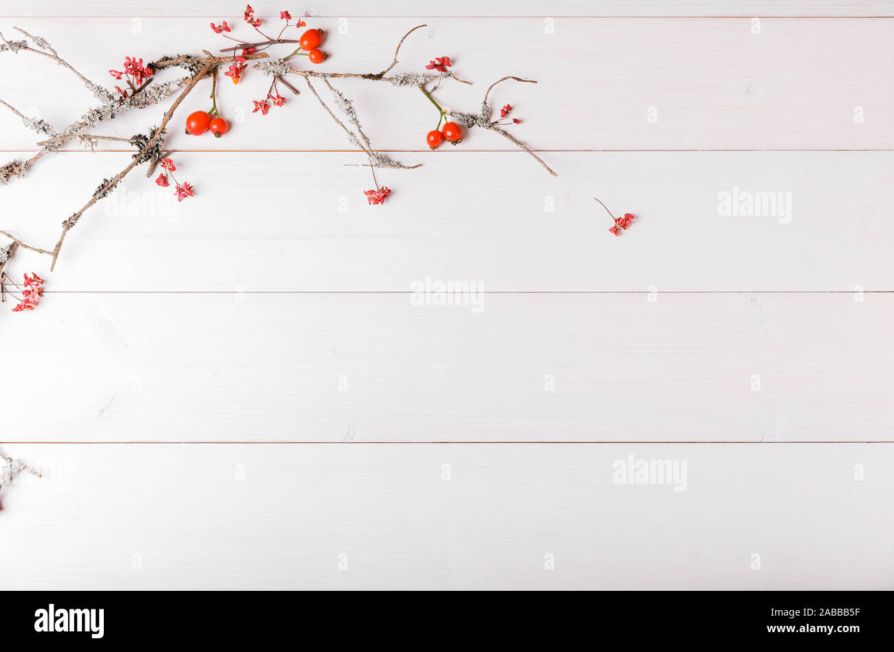 Natale e Anno Nuovo o in autunno sfondo, piatto composizione laici di Natale ornamenti naturali e di Abete rami, bacche di rosa canina e rami invernali Foto Stock