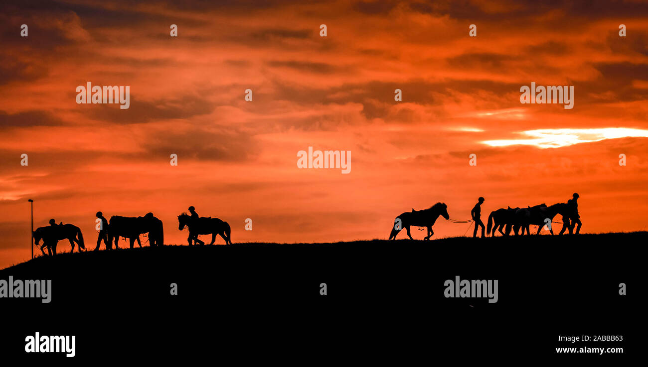 Silhouette di persone che camminano con i cavalli, Islanda Foto Stock