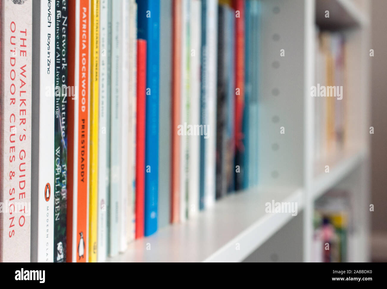Close-up di uno scaffale di una libreria di casa. " Il camminatore di guida per gli indizi esterni & Segni' in primo piano. Foto Stock