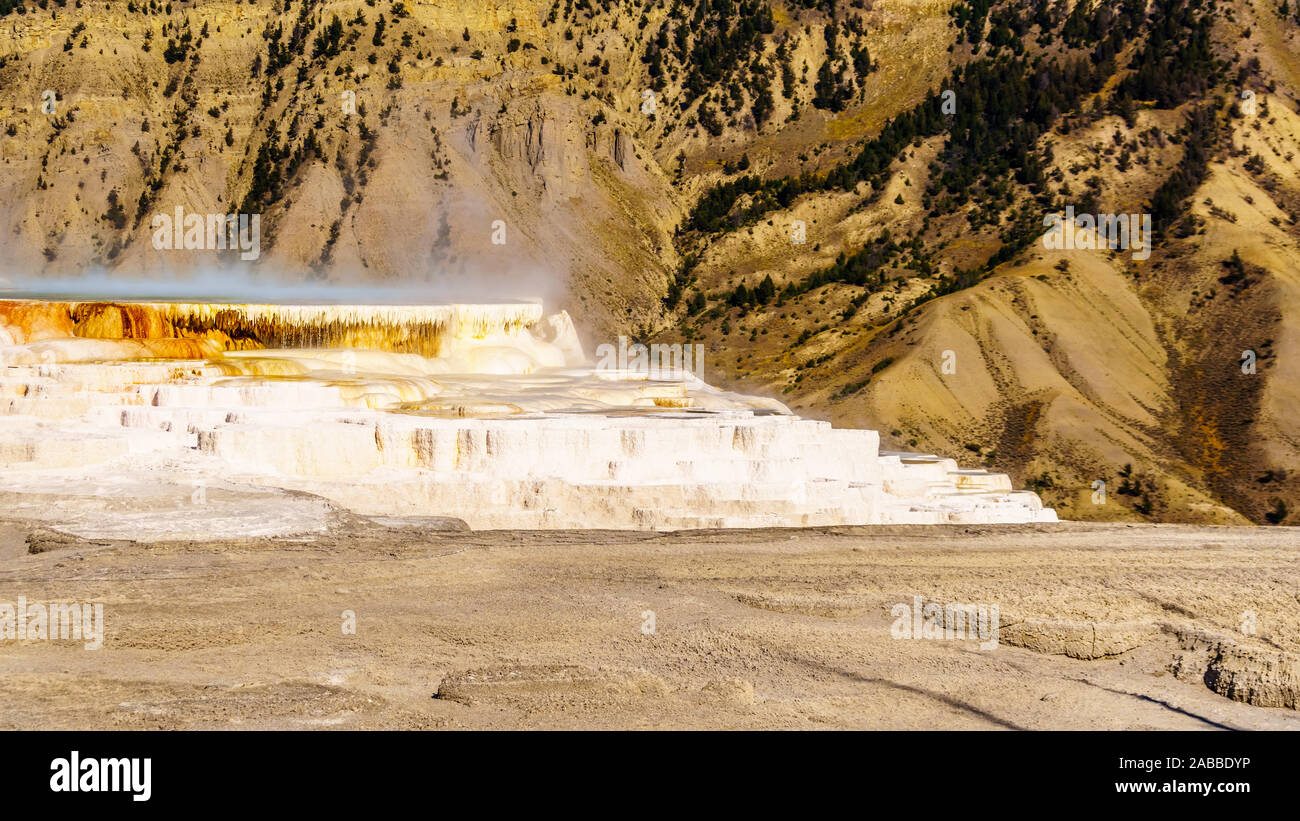 Il vapore proveniente dal colore blu minerali ricchi di acqua calda delle molle delle Canarie nel Mammoth Springs area del Parco Nazionale di Yellowstone, Wyoming USA Foto Stock