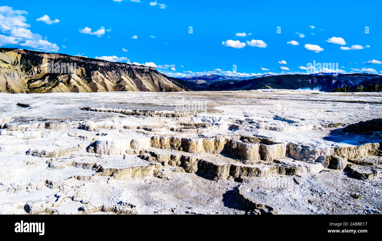 Terrazze creato da depositi minerali della molla blu sulla terrazza principale nel Mammoth Springs area del Parco Nazionale di Yellowstone, Wyoming negli Stati Uniti Foto Stock