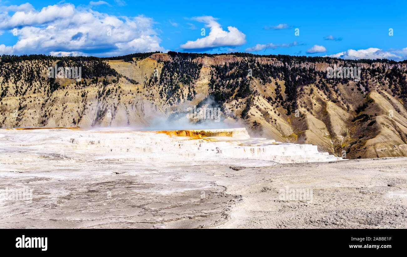 Il vapore proveniente dal colore blu minerali ricchi di acqua calda delle molle delle Canarie nel Mammoth Springs area del Parco Nazionale di Yellowstone, Wyoming USA Foto Stock