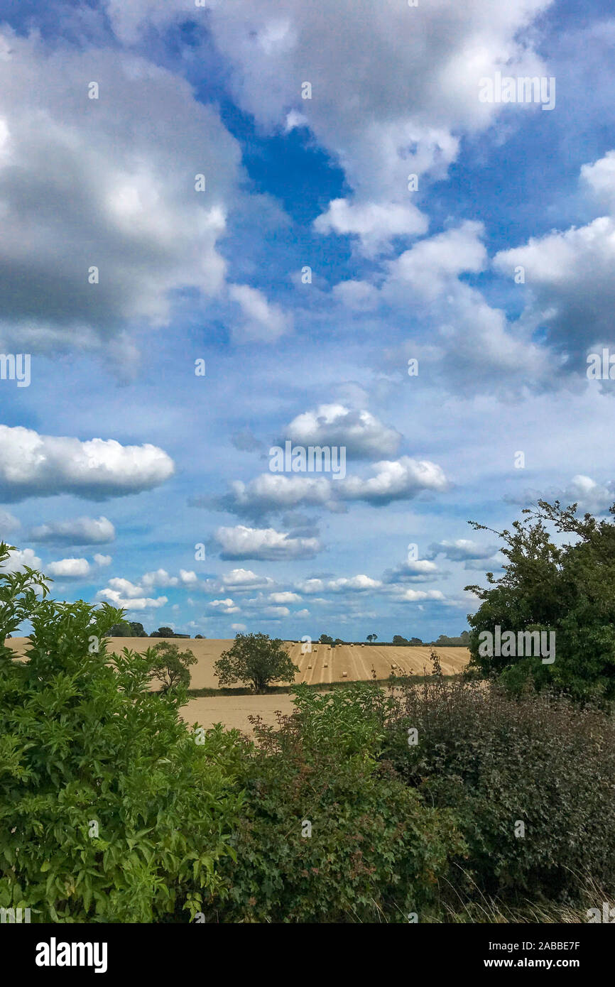 Paesaggio rurale, Warwickshire, Inghilterra, Regno Unito Foto Stock