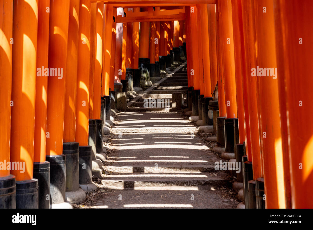 Fushimi Inari-taisha (伏見稲荷大社) è il santuario principale del kami Inari, situato a Fushimi-ku, Kyoto, Prefettura di Kyoto, Giappone. Il santuario si trova alla base. Foto Stock