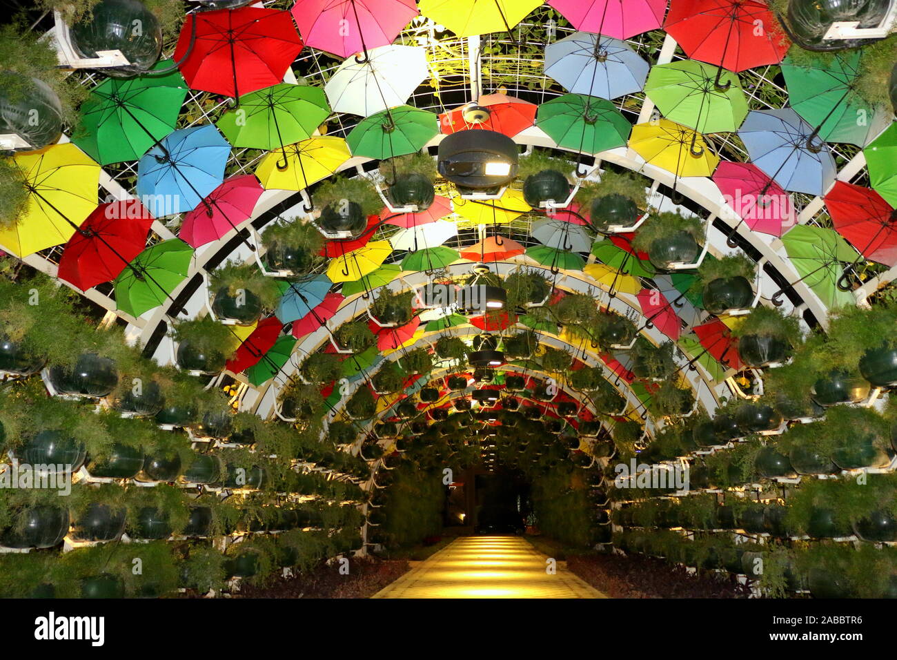 Ombrello coloratissimo giardino doha Foto Stock