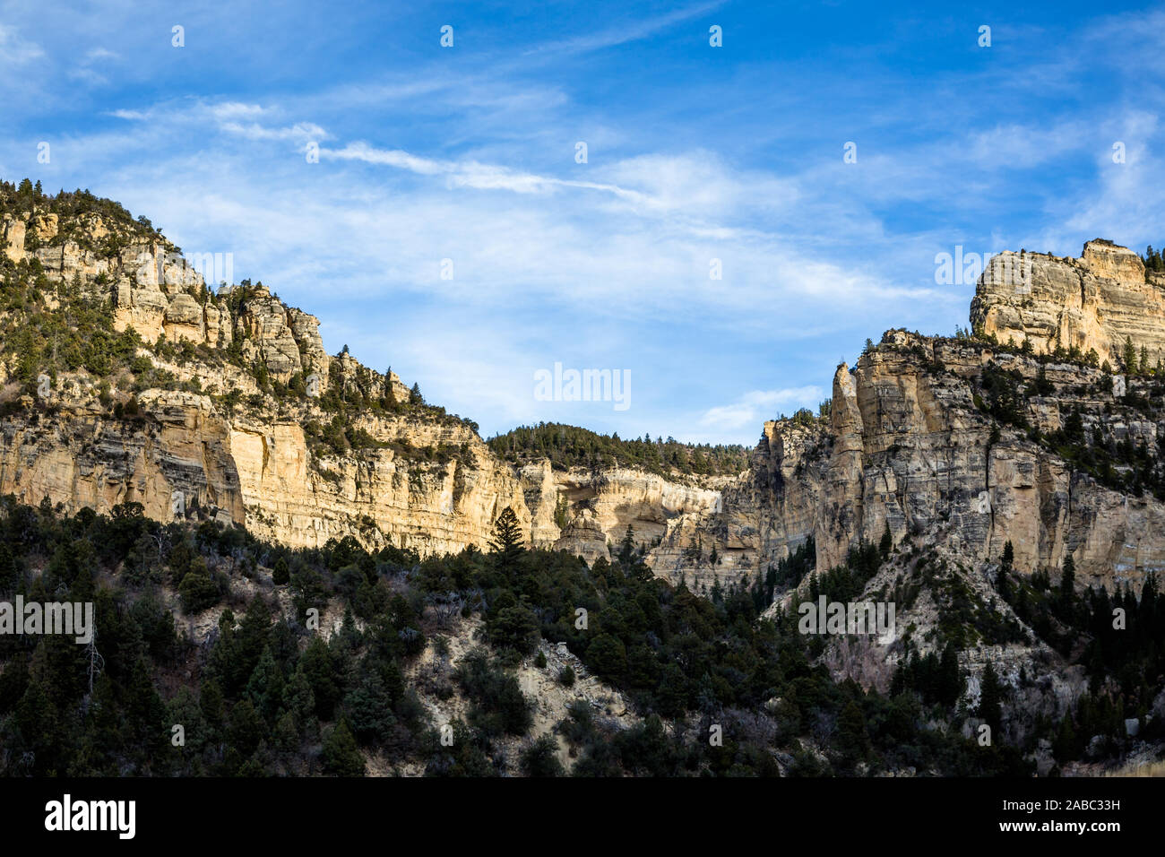 Canyon di cedro bianco arenaria strati esposti in robusto canyon laterale nel sud dello Utah. Foto Stock