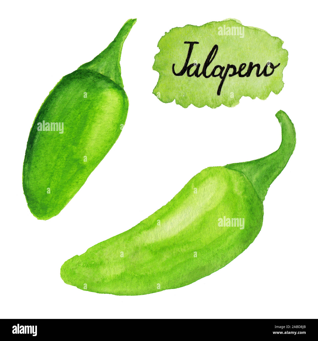 Set di green disegnato a mano i peperoncini jalapeno. Illustrazione ad acquerello di pepe isolato su sfondo bianco. Dipinto di caratteri di testo jalapeno Foto Stock