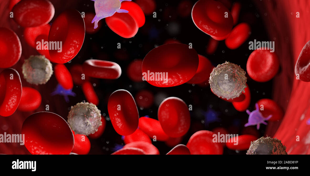 3D Rendering accurato dal punto di vista medico illustrazione del sangue umano Foto Stock
