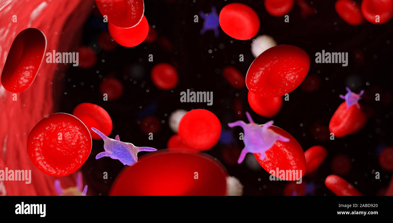 3D Rendering accurato dal punto di vista medico illustrazione del sangue umano Foto Stock