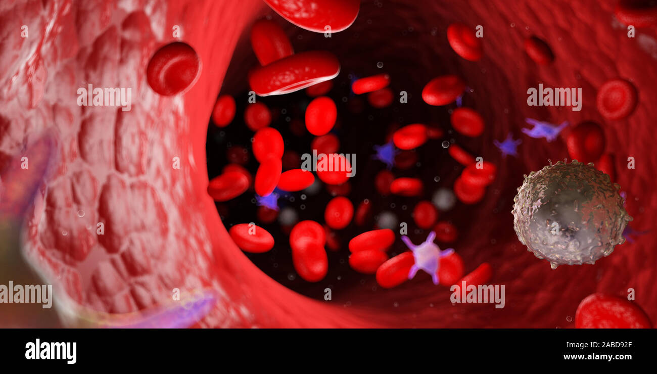3D Rendering accurato dal punto di vista medico illustrazione del sangue umano Foto Stock