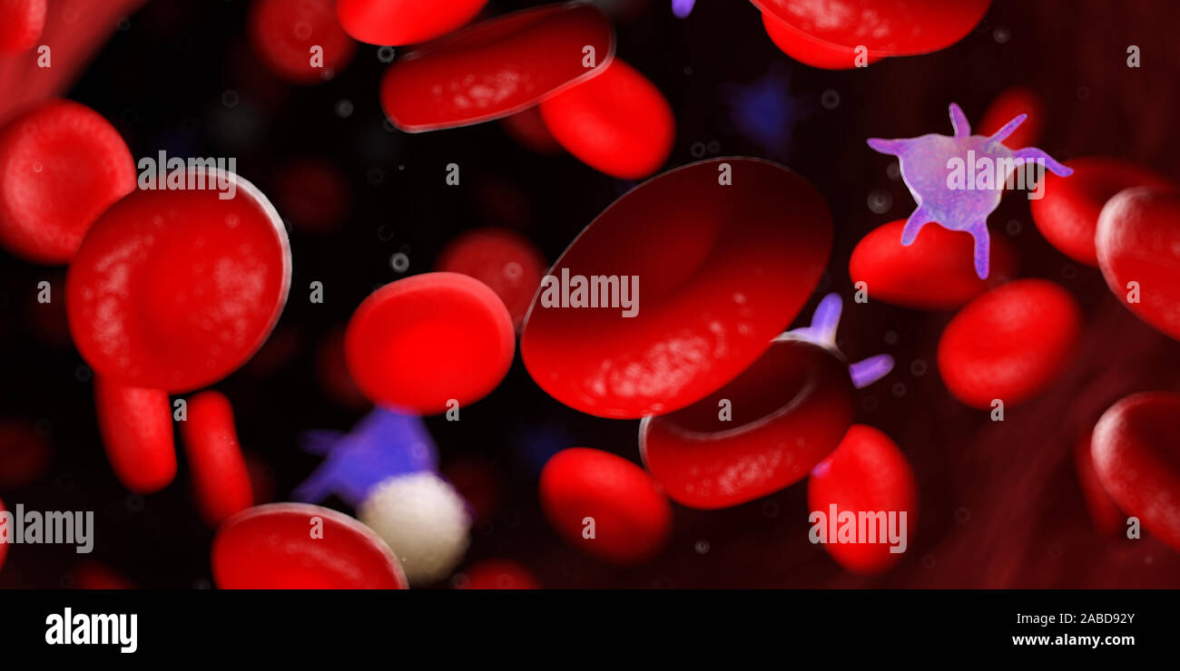 3D Rendering accurato dal punto di vista medico illustrazione del sangue umano Foto Stock