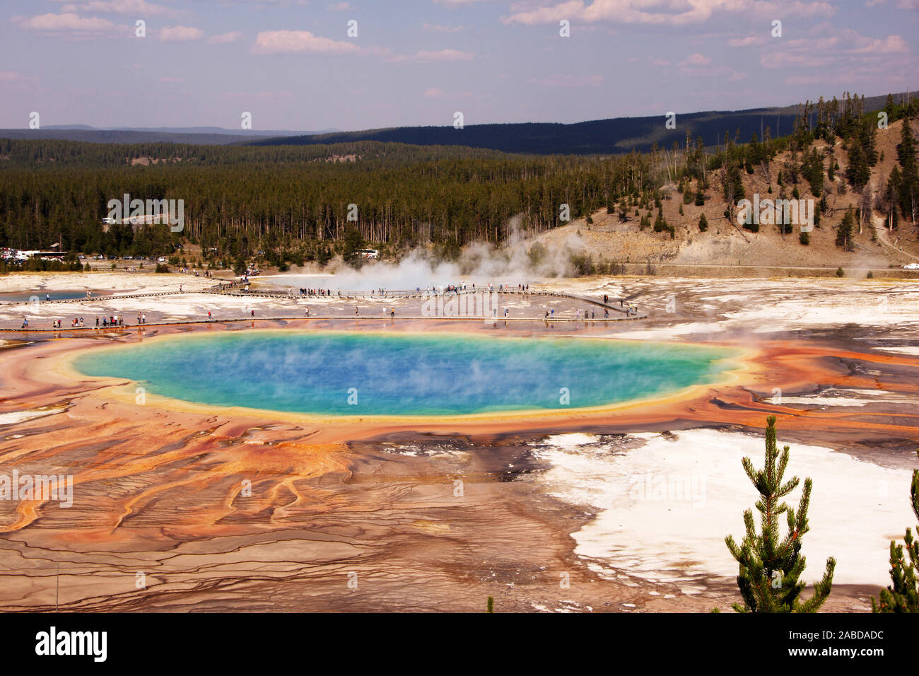 Landschaft im Nationalpark Yellowstone Foto Stock