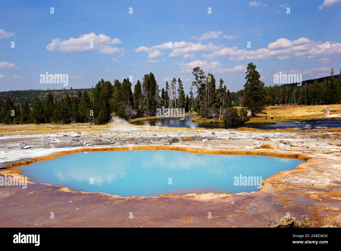 Landschaft im Nationalpark Yellowstone Foto Stock