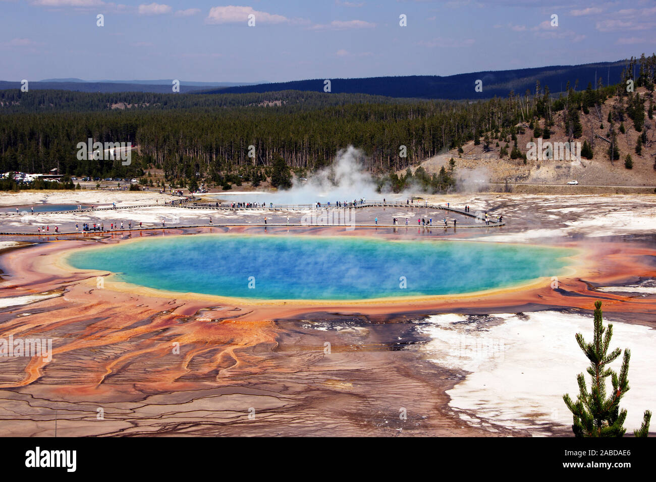 Landschaft im Nationalpark Yellowstone Foto Stock