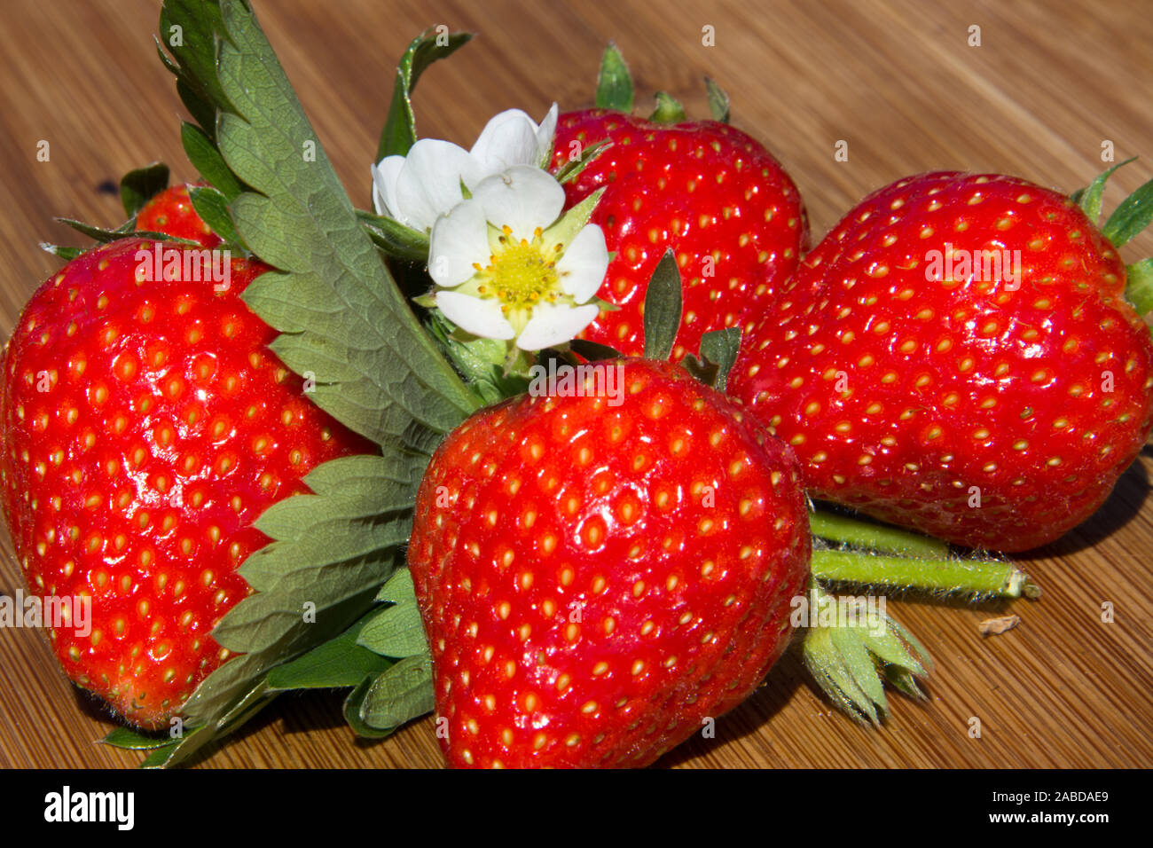 Erdbeeren, Dekoration, Fragaria, Rosengewaechs Foto Stock