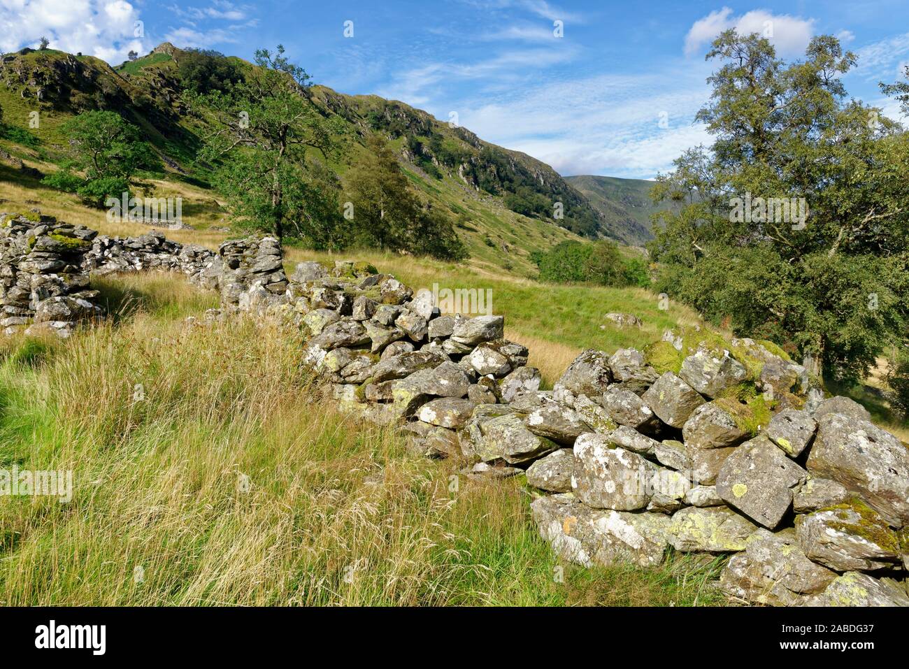 Muri in pietra a secco sotto rupe ruvida, Riggindale, Scafell, Cumbria Foto Stock