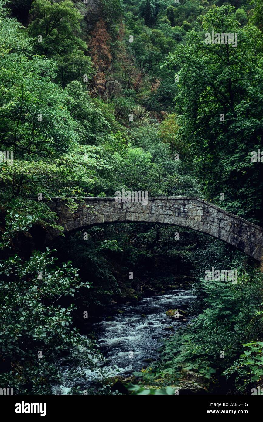 Ponte storico Mystical Bodetal nei Monti Harz Foto Stock