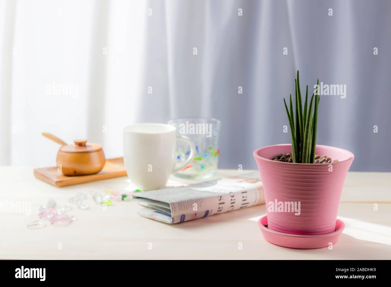 Tazza da caffè, pezzi di vetro,giornale con Sansevieria Stucky piantato in una pentola di rosa sulla tabella nella finestra . Foto Stock