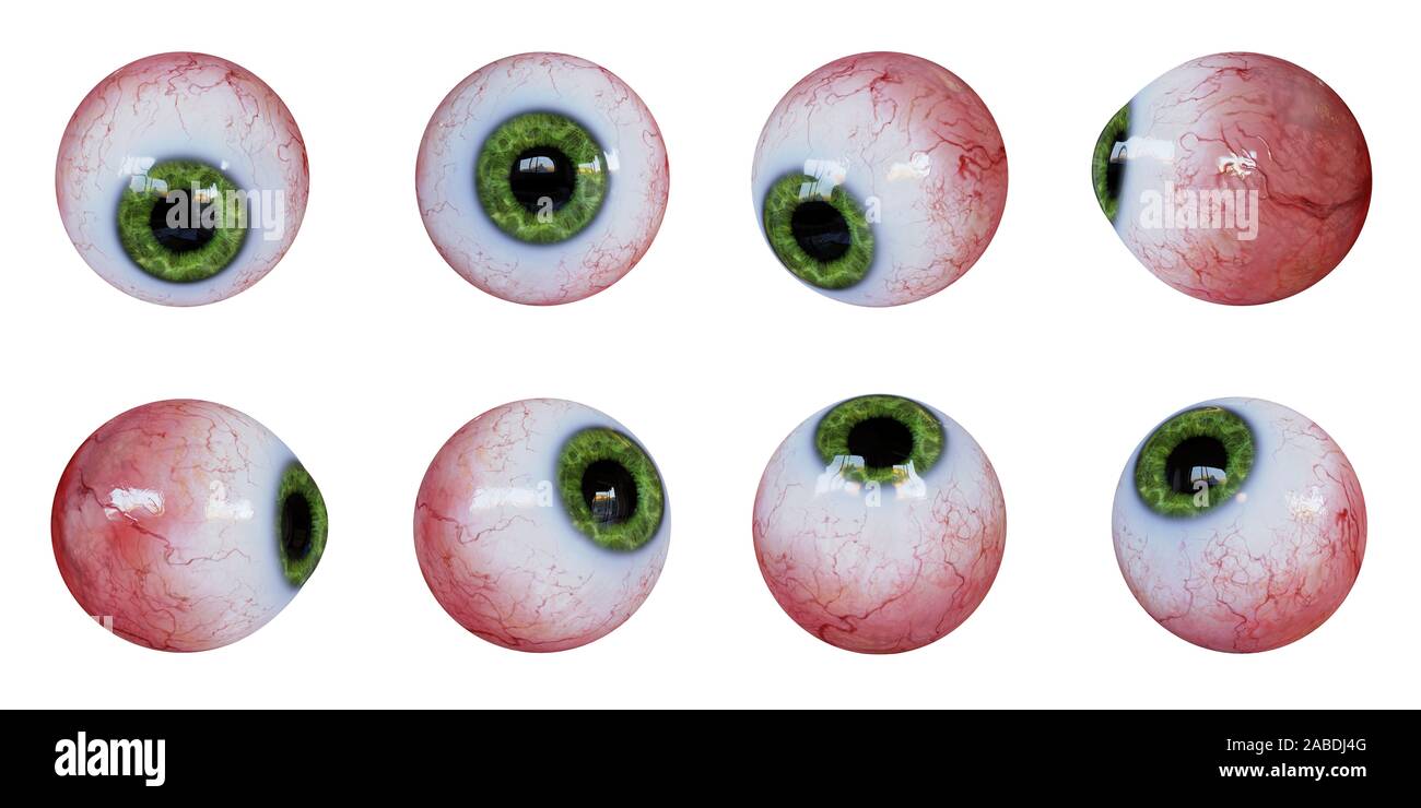 Set di bulbi oculari umana con iris verde isolato su sfondo bianco Foto Stock