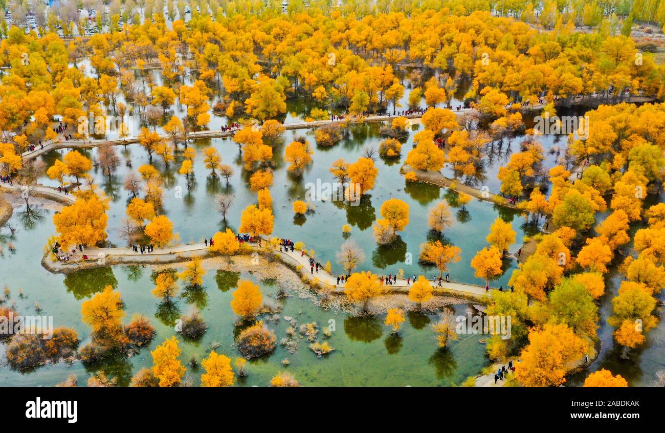 La gente a piedi sul ponte in Dessert Jinta Poplar Forest Area Jiuquan in città, a nord-ovest della Cina di provincia di Gansu, 13 ottobre 2019. Foto Stock