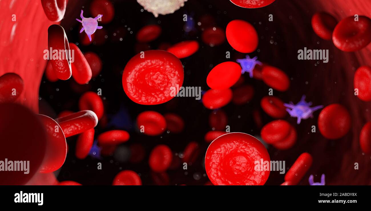 3D Rendering accurato dal punto di vista medico illustrazione del sangue umano Foto Stock